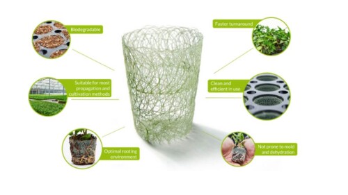 Malla maceta biodegradable para mejorar el cepellón y el enraizamiento en bandeja (1).jpg